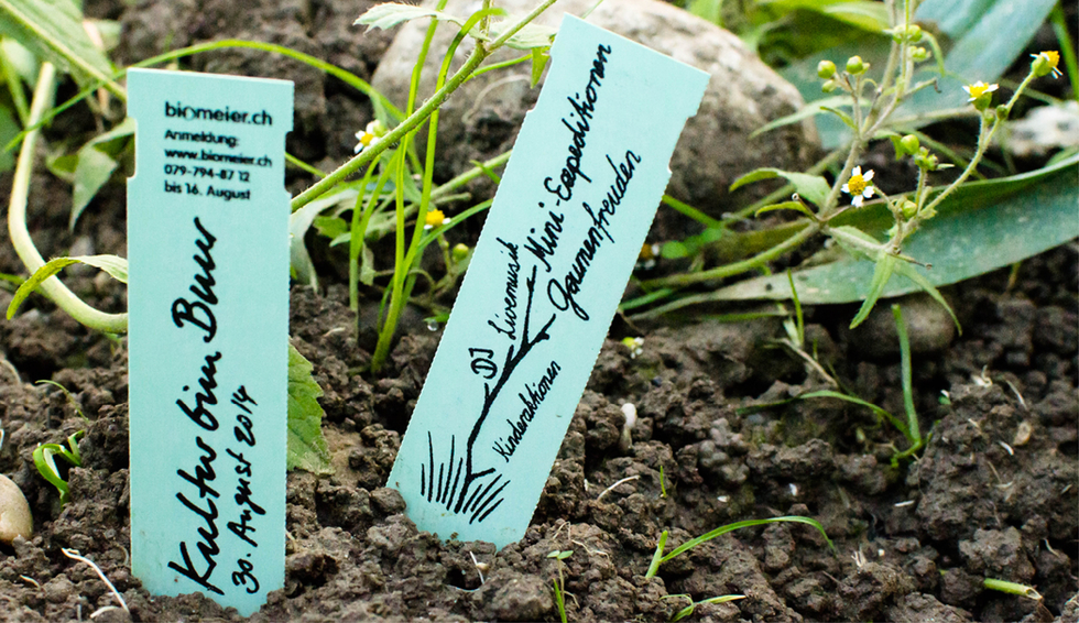 Biomeier Kultur bim Buur 1