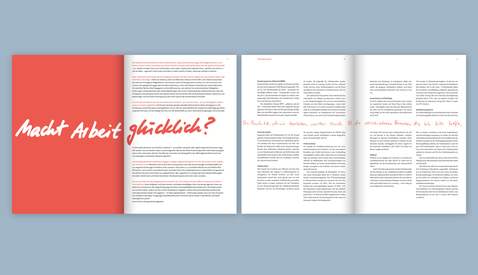 Lernwerk Jahresbericht 2013 2