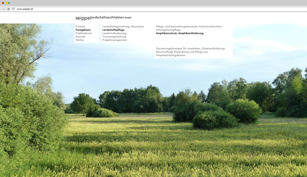 Seippel Website 