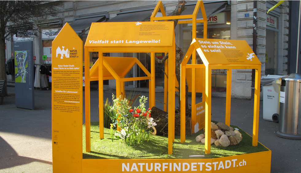 Stadt Baden Stoek Umweltwochen Natur findet Stadt 1