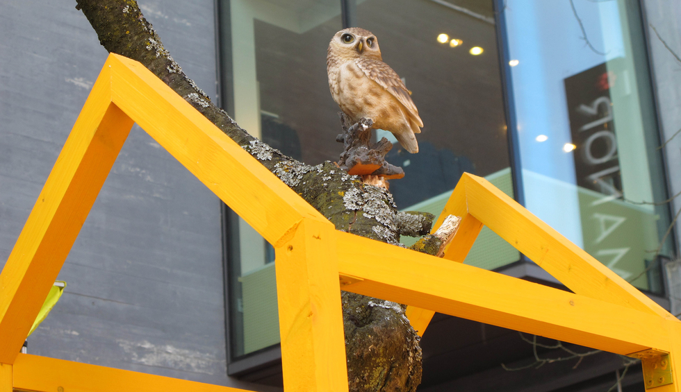 Stadt Baden Stoek Umweltwochen Natur findet Stadt 2