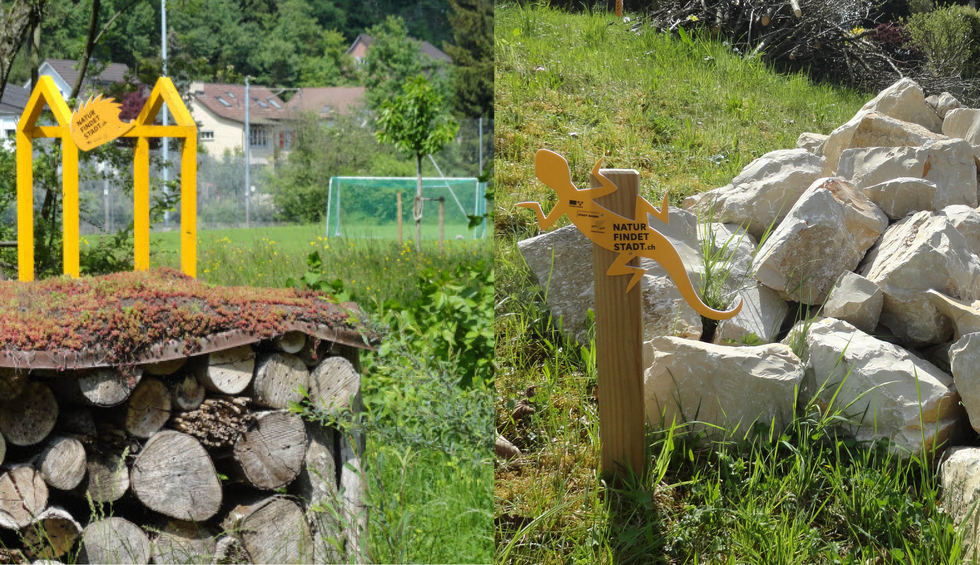 Stadt Baden Stoek Umweltwochen Natur findet Stadt 4