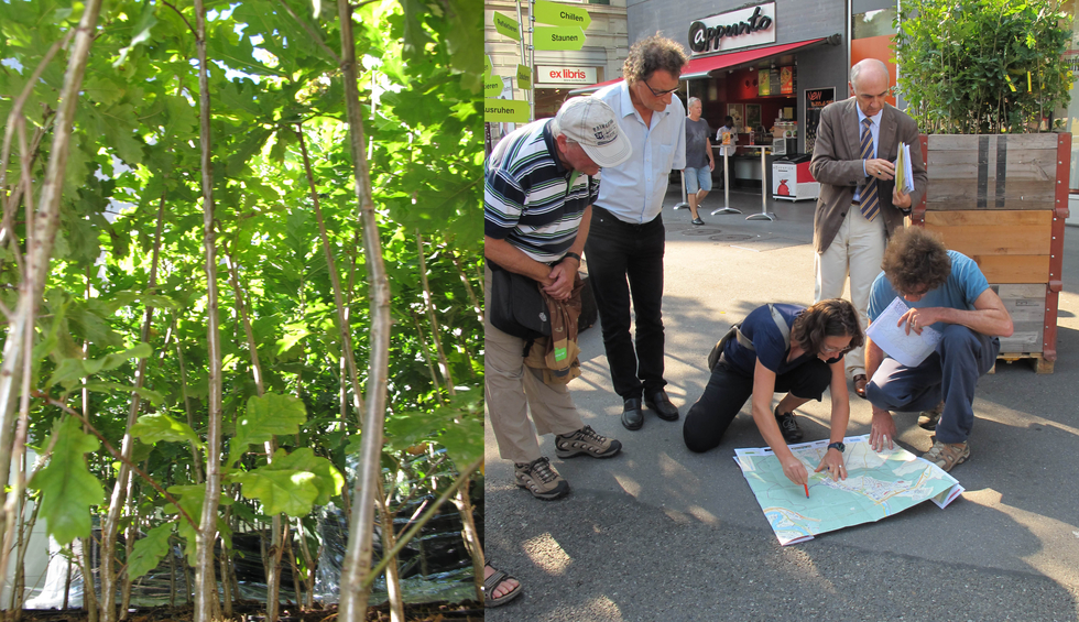 Stadt Baden Stoek Umweltwoche Wegweiser 3 