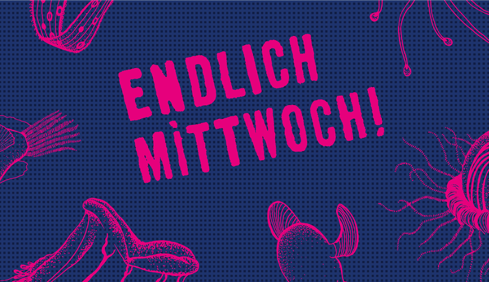 Stanzerei Endlich Mittwoch 2016 2017 